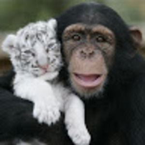 Meet your Posher, Jess